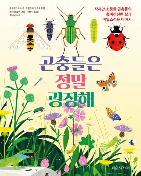 곤충들은 정말 굉장해 : 작지만 소중한 곤충들의 흥미진진한 삶과 비밀스러운 이야기 표지 이미지