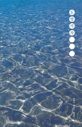 도망가자 표지 이미지