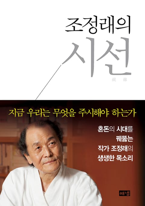 조정래의 시선 : 지금 우리는 무엇을 주시해야 하는가 표지 이미지