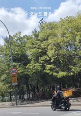 오늘도 맑음 표지 이미지