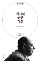 예기치 못한 기쁨 표지 이미지