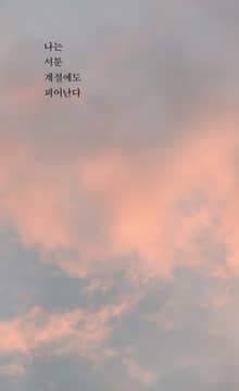 나는 서툰 계절에도 피어난다 : 지난 시간을 들여다보니, 애쓰고 괜찮은 나를 만났다.