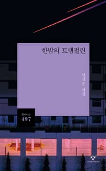 한밤의 트램펄린