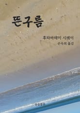 뜬구름 표지 이미지