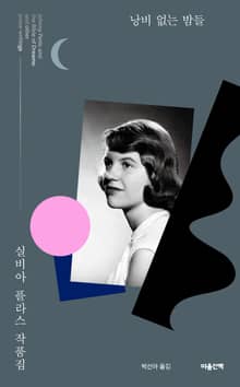 낭비 없는 밤들 : 실비아 플라스 작품집