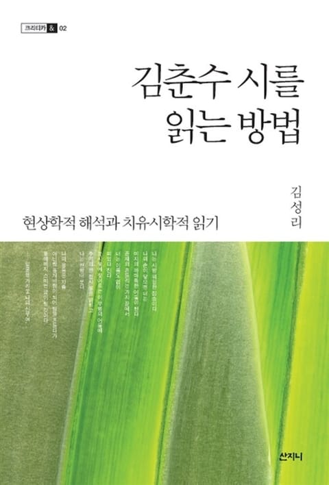 김춘수 시를 읽는 방법 : 현상학적 해석과 치유시학적 읽기 표지 이미지