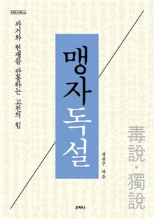 맹자독설 : 과거와 현재를 관통하는 고전의 힘
