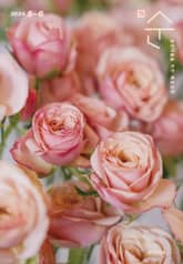 매일성경 순 2024년 5-6월호(사도행전) 표지 이미지