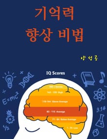 기억력 향상 비법