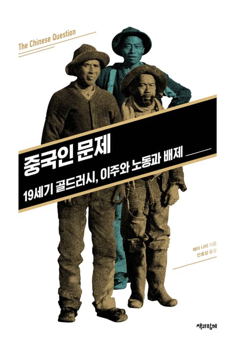 중국인 문제 : 19세기 골드러시, 이주와 노동과 배제 표지 이미지