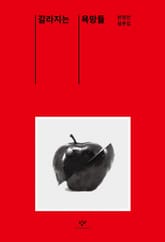 갈라지는 욕망들 : 한영인 평론집 표지 이미지