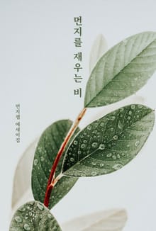 먼지를 재우는 비