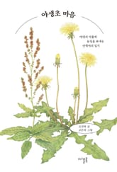 야생초 마음 : 야생의 식물에 눈길을 보내는 산책자의 일기 표지 이미지