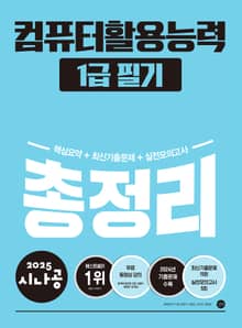 2025 시나공 컴퓨터활용능력 1급 필기 총정리
