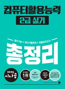 2025 시나공 컴퓨터활용능력 2급 실기 총정리
