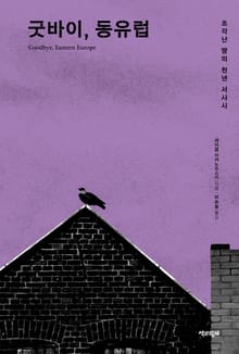 굿바이, 동유럽 : 조각난 땅의 천년 서사시
