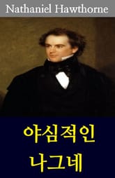 야심적인 나그네 표지 이미지