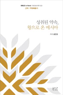 성취된 약속, 왕으로 온 메시아 : 마태복음서
