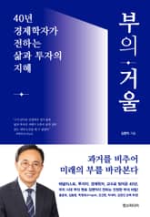 부의 거울 : 40년 경제학자가 전하는 삶과 투자의 지혜 표지 이미지