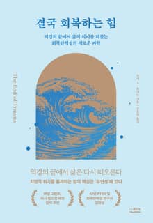 결국 회복하는 힘 : 역경의 끝에서 삶의 의미를 되찾는 회복탄력성의 새로운 과학