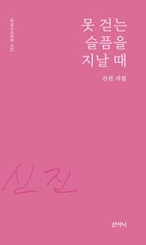 못 걷는 슬픔을 지날 때 표지 이미지