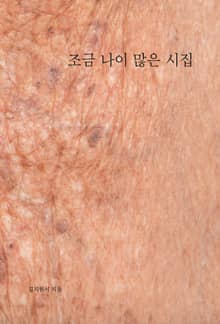 조금 나이 많은 시집