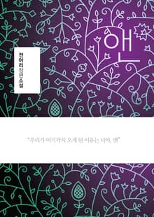 앤