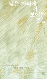 낮은 자리에서 보이는 것들 표지 이미지