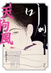 미인 표지 이미지