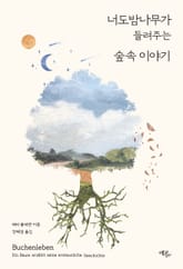 너도밤나무가 들려주는 숲속 이야기 표지 이미지