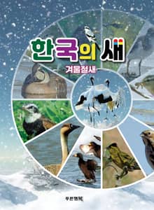 한국의새 겨울철새