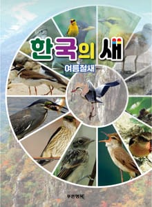 한국의새 여름철새