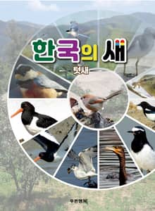한국의새 텃새