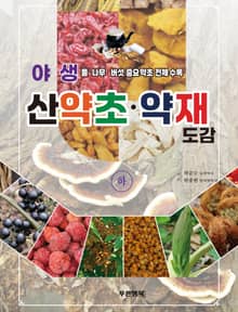 야생 산약초 약재 하