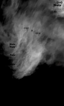 누아 (타입 에디션)