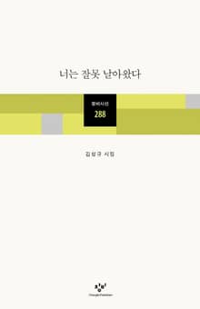 너는 잘못 날아왔다