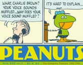 피너츠 완전판 vol.17 표지 이미지