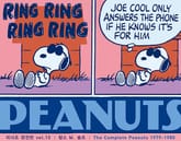 피너츠 완전판 vol.15 표지 이미지