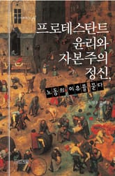 프로테스탄트 윤리와 자본주의 정신 : 노동의 이유를 묻다 표지 이미지