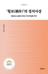 횡보의 정치사상 표지 이미지