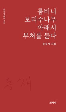 룸비니 보리수나무 아래서 부처를 묻다