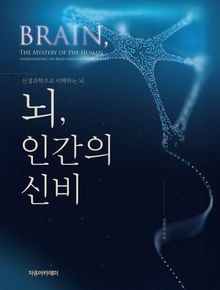 뇌, 인간의 신비