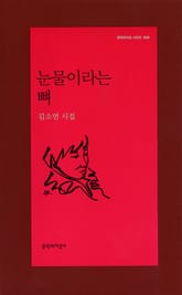 눈물이라는 뼈 표지 이미지