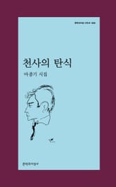 천사의 탄식 표지 이미지