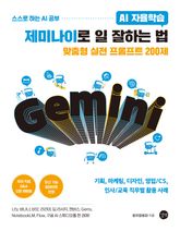 AI 자율학습 제미나이로 일 잘하는 법 표지 이미지