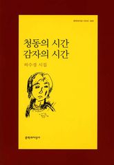 청동의 시간 감자의 시간 표지 이미지