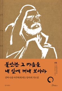 불안한 그 마음을 내 앞에 꺼내 보아라 : 진짜 나를 마주하게 하는 달마의 가르침