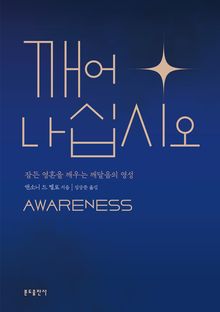 깨어나십시오 : 잠든 영혼을 깨우는 깨달음의 영성