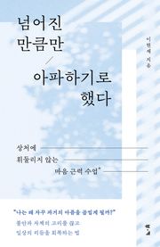 넘어진 만큼만 아파하기로 했다 : 상처에 휘둘리지 않는 마음 근력