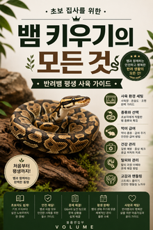 뱀 키우기의 모든 것 : 초보 집사를 위한 반려뱀 평생 사육 가이드